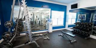 Reserve at Glenburnie Gallery 49