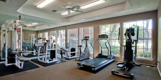 The Trails Apartments Gallery 17