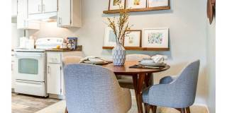 Sofi Dublin Gallery 3