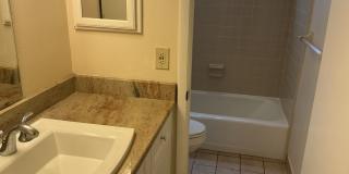 Lakeview Condo Available | Directly Across from Lake Hollingsworth Gallery 18