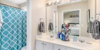 5924 Osprey Cove Drive Gallery 11