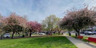 444 Bedford Street unit: Apt 4L Gallery 20