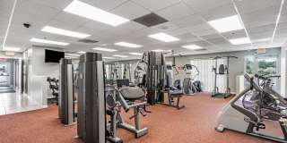 1883 Oak Berry Circle Gallery 43