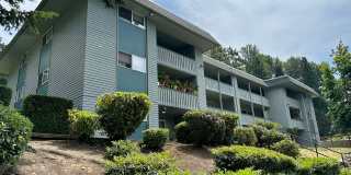 Welcome to Sun Vista Apartments Welcome to Sun Vista Apartments Gallery 1