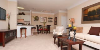 Columns at Club Drive Gallery 17