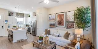 Yardly Beltmill Yardly Beltmill Gallery 4