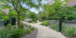 Cloud on Fifth Gallery 159