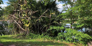 6 Wimbledon Lake Dr Gallery 21