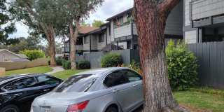 Dove Ridge Gallery 15