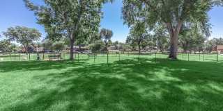 The Centre Apartments Gallery 18