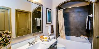 Aliso Briar Forest Gallery 15