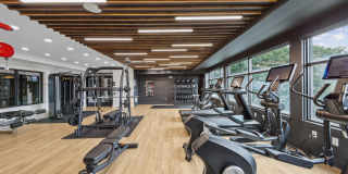 Anthem on Ashley Gallery 19