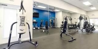 Advenir at the Oaks Gallery 15