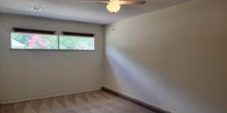 8146 Treetop Ln Gallery 7