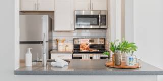 Rise Camelback Gallery 18