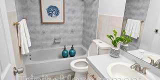 10449 Mayflower Road Gallery 9