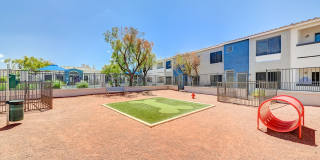 Madison East Gallery 7