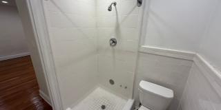 New King Edward Gallery 439