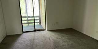 329 SHAWMONT Avenue Gallery 17