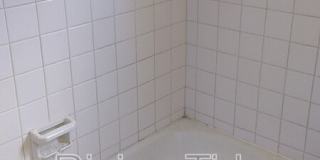 229 Pinewood Ave Gallery 10