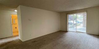 451w13 Gallery 10
