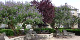 Eagle Harbor Apartments Eagle Harbor Apartments Gallery 31