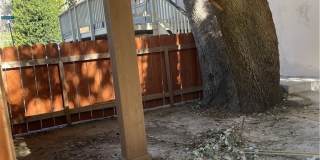 29392 Lake View Gallery 37