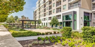 Esperanza Domain Gallery 21