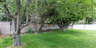 University Area Home - 4 Bed - 3 Bath Gallery 7