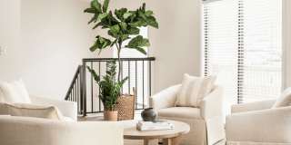 Affordable Housing - The Parke at Trinity Apartment Homes Gallery 25