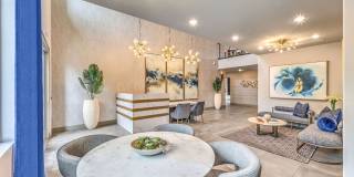 Aspire at Alper Gallery 31