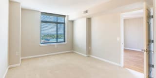 Virginia Square Gallery 50