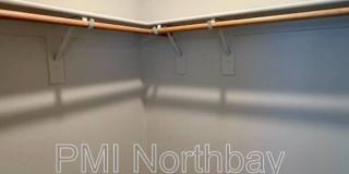 109 Clownfish Street Gallery 12