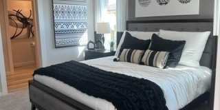 1206 Amistad Loop Gallery 9