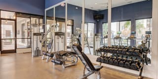 Harlow Spring Cypress Gallery 11