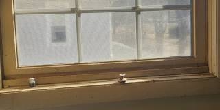 1033 1st Street - A Gallery 3