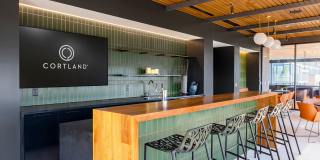 Cortland Rosslyn Gallery 56