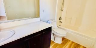 8408 Shady Pines Drive Gallery 8
