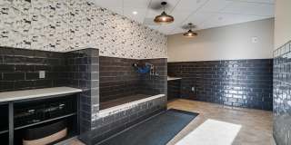 Nolan Mains Gallery 5