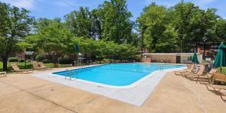 Glenmont Forest Gallery 50