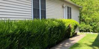 3 Bedroom Available August 2027; Monthly rent $1,950 3 Bedroom Available August 2027; Monthly rent $1,950 Gallery 1