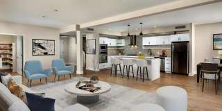 Venice on Rose Gallery 1