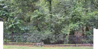 Beautiful Townhome - Great Location Gallery 15