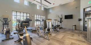 Avita Alamo Heights Gallery 15