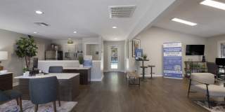 Seville Apartments Gallery 14