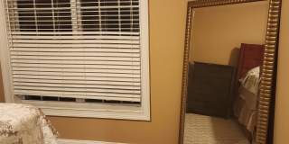 337 Langshire Dr Gallery 14