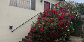 Large Three bedroom two bath home walking distance to downtown Monterey, DLI, MIIS and the Warf Gallery 1