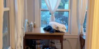 551 Aileen Street Gallery 20