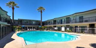 Citrus Gardens Gallery 19