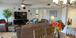 7344 N VIA CAMELLO DEL NORTE Gallery 14